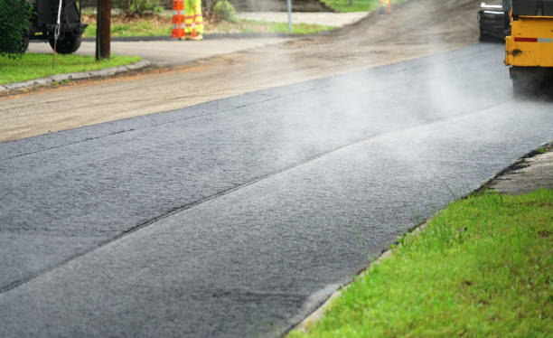 Best Driveway Pavers Near Me  in Tripoli, IA